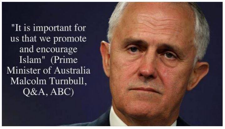 Turnbull Liberal Moderates Freeloading on Abbott’s Hard Work and Achievements