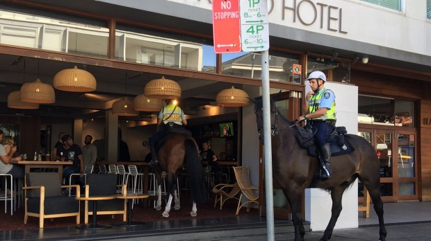 AUSTRALIA: Horse Walkes into a BAR at Bondi Beach